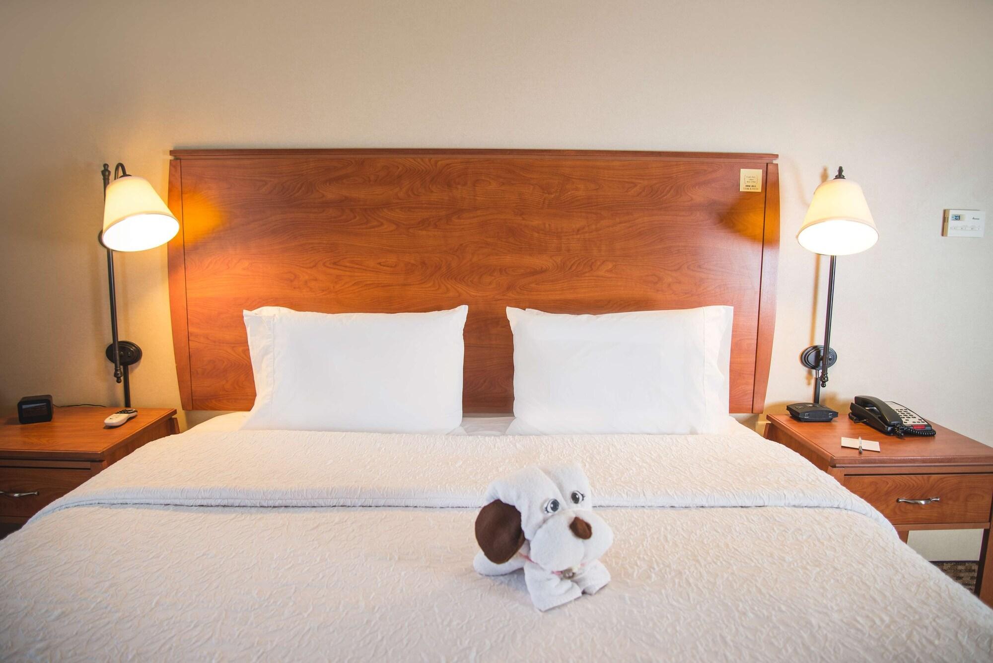 Hampton Inn & Suites Greeley Eksteriør billede